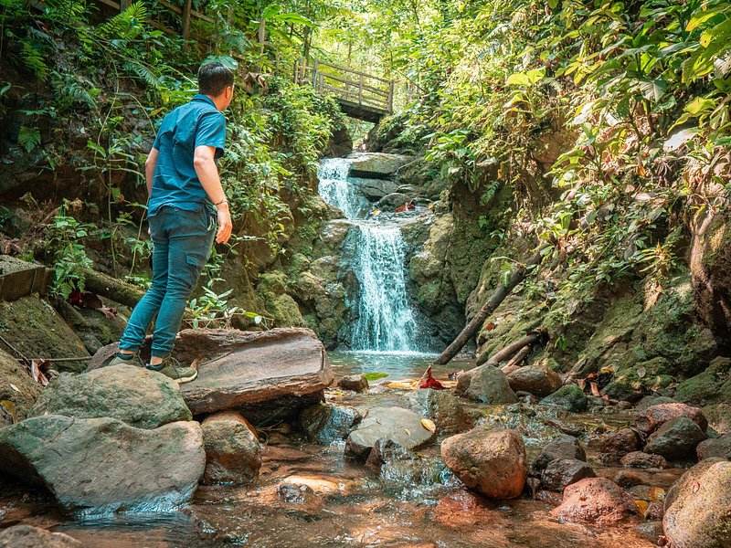 A stream dropping over rocks through dense rainforest near La Fortuna