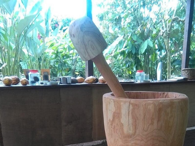 A tall wooden mortar and pestle used to grind roasted cacao by hand