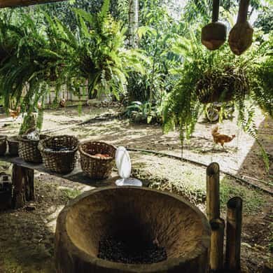 A hollowed-out wooden grinder and hanging gourds in a farm yard