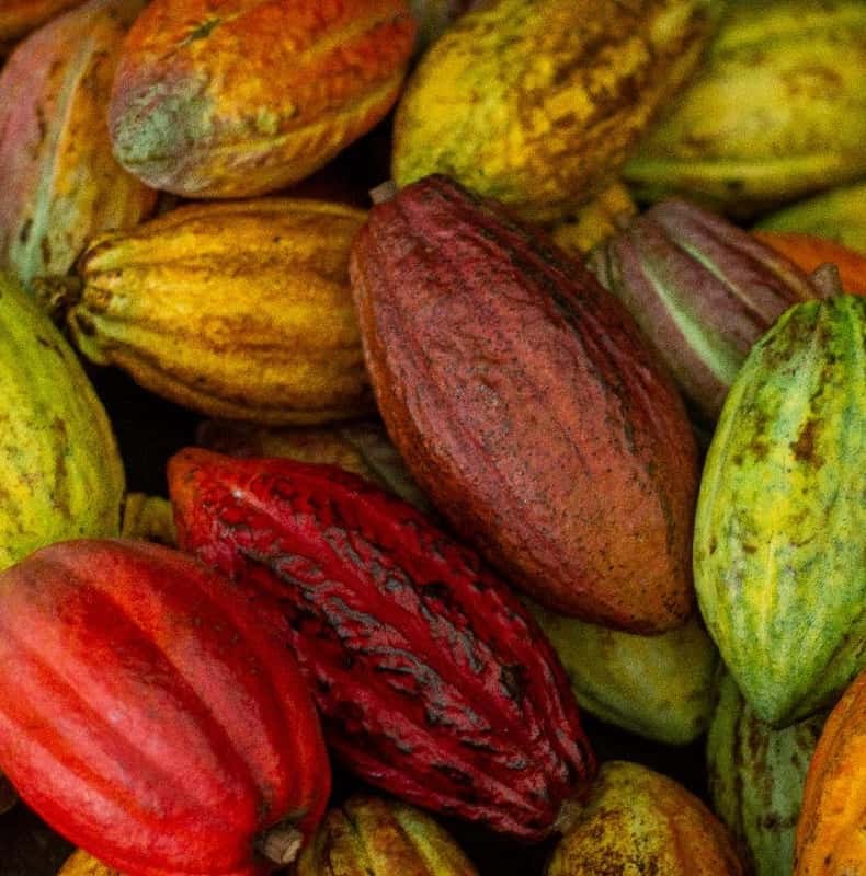 La Fortuna: Don Juan Arenal Coffee and Chocolate Tour