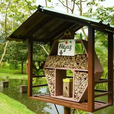 A timber bee house on a farm, signed for the native stingless bees kept in it